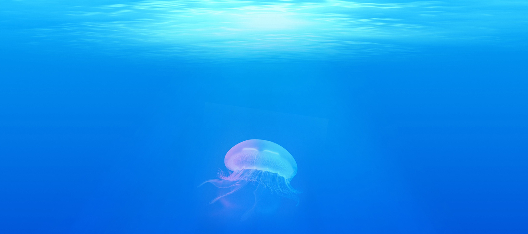 Oceanic Sweden